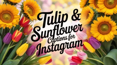 Tulip & Sunflower Captions for Instagram