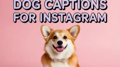 Funny Short Dog Captions for Instagram